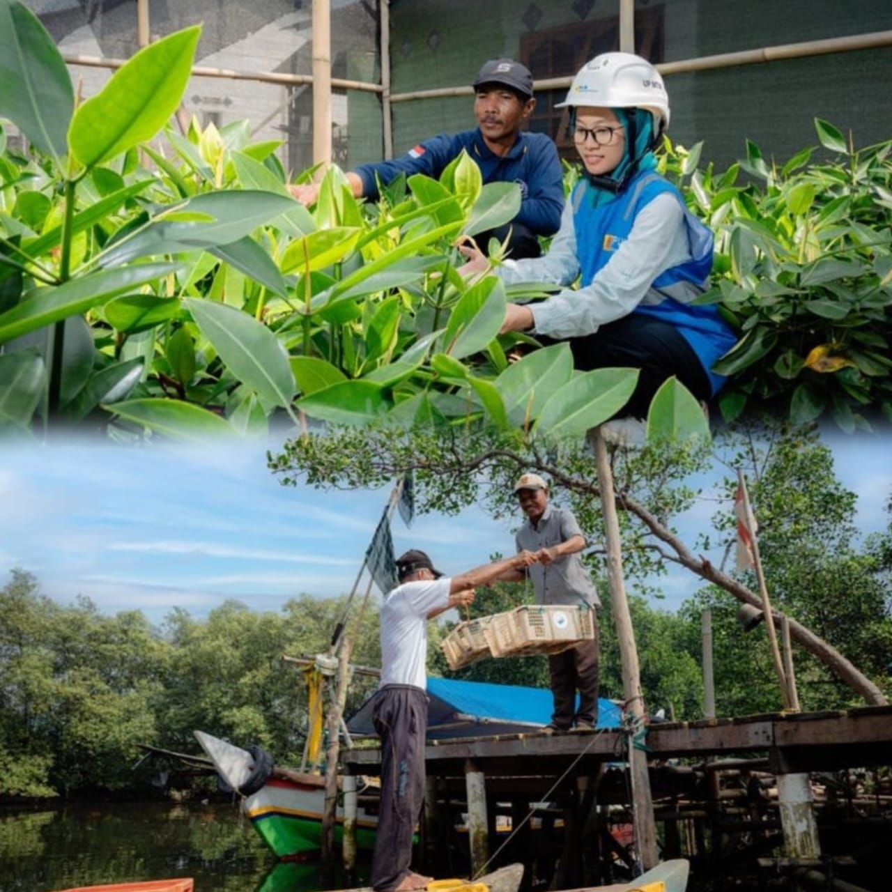 berita-rekomendasi-foto