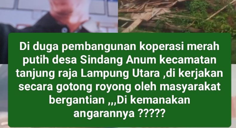 foto slider headline