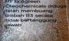 Cemari Lingkungan, Limbah PT Ecogreen Oleochemicals Diduga Jadi Biang Kerok